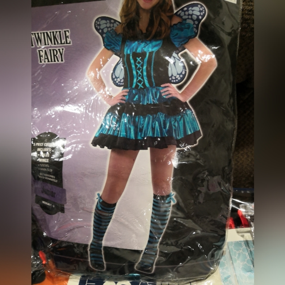 Fairy costume